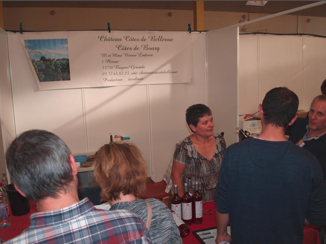 Côtes de Bourg, Château Bellevue